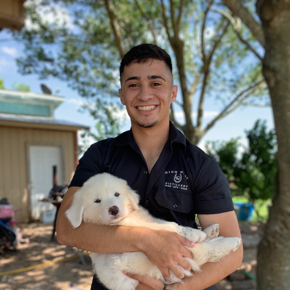 Meet your Posher, Edgardo